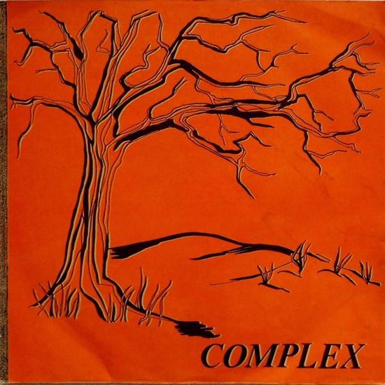 Complex Complex (LP), Complex Muziek