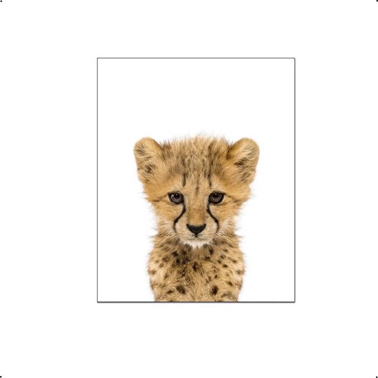 PosterDump - Baby jungle / safari cheeta dieren - Baby / kinderkamer poster - Dieren poster - 50x40cm