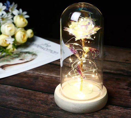Roses of infinity Gouden roos in glazen stolp met LED Cadeau voor vrouw Huwelijk Vriendin - Valentijn Cadeautje voor haar