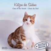 Cats of the South Kalender 2023