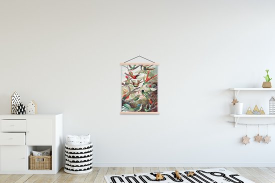 Porte-affiche avec affiche - Affiche scolaire - Colibri - Vintage - Ernst Haeckel - Vogels - 60x80 cm - lattes vierges