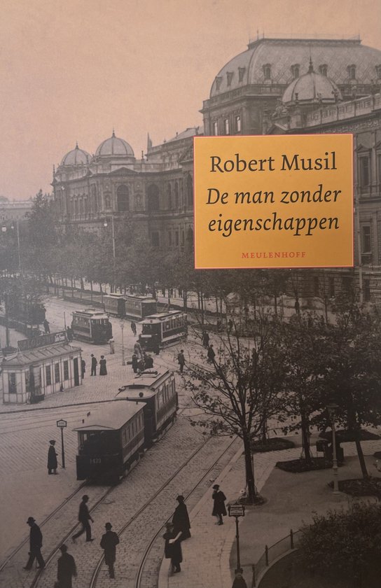 Cover van het boek 'De man zonder eigenschappen' van Robert Musil
