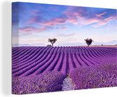 Canvas - Schilderij - Lavendel - Bomen - Bloemen - Paars - Schilderijen op canvas - Canvas doek - 120x80 cm - Wanddecoratie