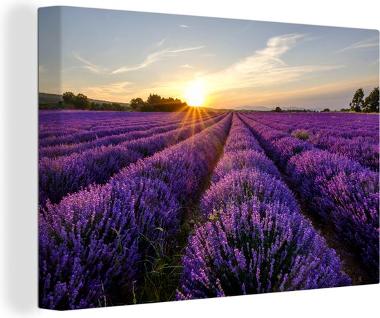 Canvas - Schilderij - Lavendel - Zon - Landschap - Bloemen - Schilderijen op canvas - Foto op canvas - 90x60 cm - Muurdecoratie - Slaapkamer