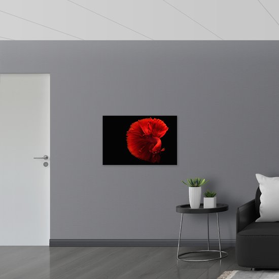 WallClassics - Dibond - Fel Rode Maanvis - 90x60 cm Foto op Aluminium (Wanddecoratie van metaal)