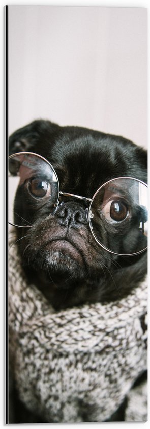 WallClassics - Dibond - Zwarte Hond met Bril en Trui - 20x60 cm Foto op Aluminium (Wanddecoratie van metaal)