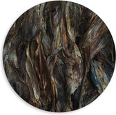 WallClassics - Dibond Muurcirkel - Bruine Bladeren - 80x80 cm Foto op Aluminium Muurcirkel (met ophangsysteem)