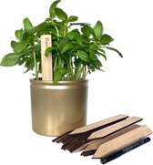 Plantlabel bamboe langwerpig - 20 stuks - Incl. watervaste Staedler marker - Plantkaartjes, plantenlabels, plantenstekers, moestuinbordjes, plantstekers, plantenetiket voor in de tuin