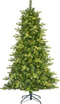 Black Box Trees - Dayton kerstboom led groen 140L TIPS 752 - h155xd94cm - Kerstbomen  (Europese stekker )