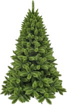 Triumph tree - Sapin de Noël camden dimensions en cm: 215 x 142 vert