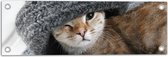 WallClassics - Tuinposter – Kitten met een Wollen Muts - 60x20 cm Foto op Tuinposter  (wanddecoratie voor buiten en binnen)
