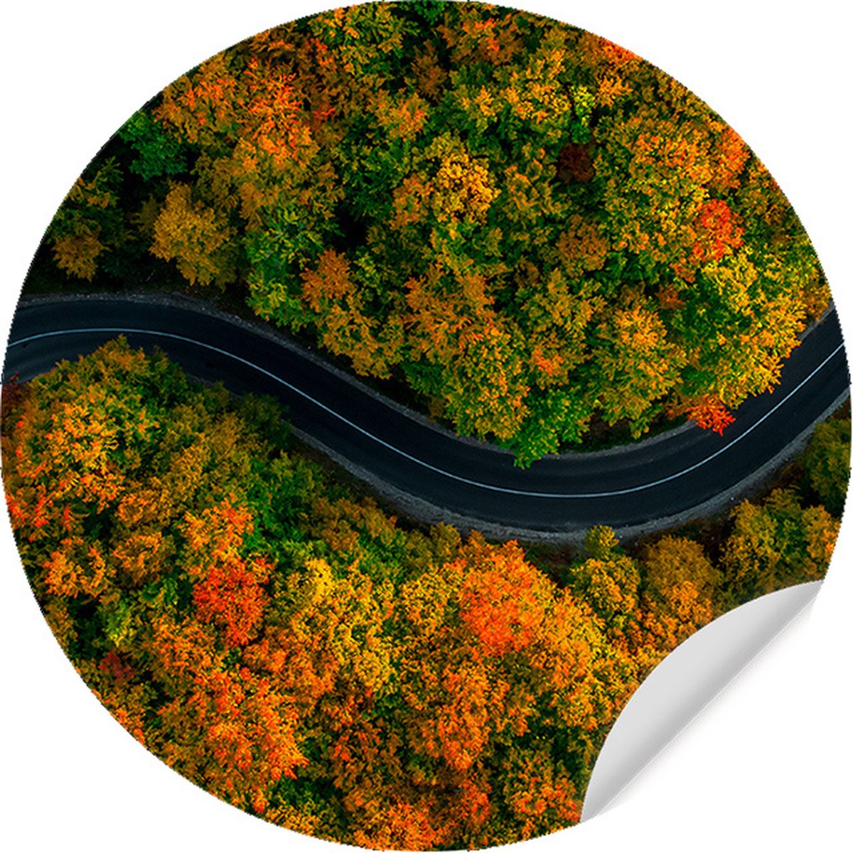 Behangcirkel Autumn Road