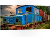 WallClassics - PVC Schuimplaat - Oude Veroeste Blauwe Trein - 100x50 cm Foto op PVC Schuimplaat (Met Ophangsysteem)