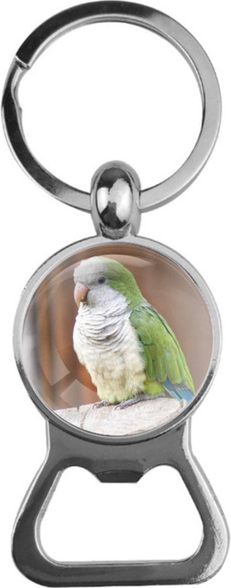 Bieropener Glas - Vogel