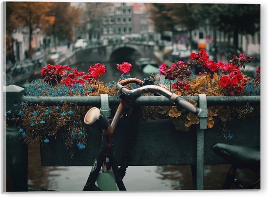 WallClassics - Verre Acrylique - Vélo Garé sur les Canaux d'Amsterdam - Photo 40x30 cm sur Verre Acrylique (Avec Système de Suspension)