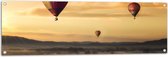 WallClassics - Tuinposter – Luchtballonen Zwevend boven Open Veld - 120x40 cm Foto op Tuinposter  (wanddecoratie voor buiten en binnen)
