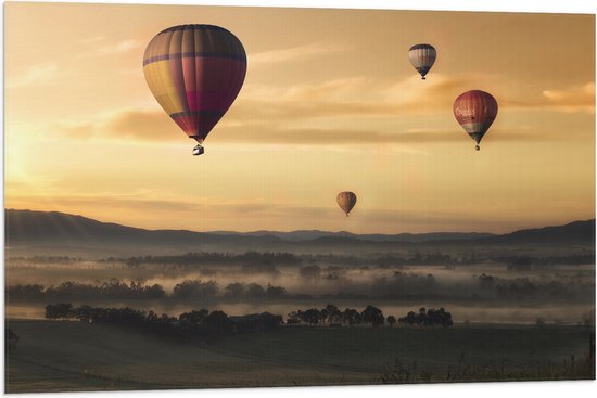 WallClassics - Drapeau - Ballons à air chaud flottant au-dessus d'un champ ouvert - Photo 90x60 cm sur drapeau en polyester