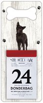 Scheurkalender 2024 Hond: Austrailian Celpie