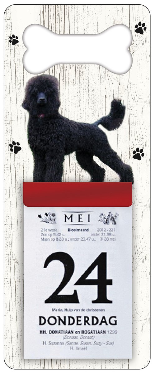 Scheurkalender 2024 Hond: Koningspoedel
