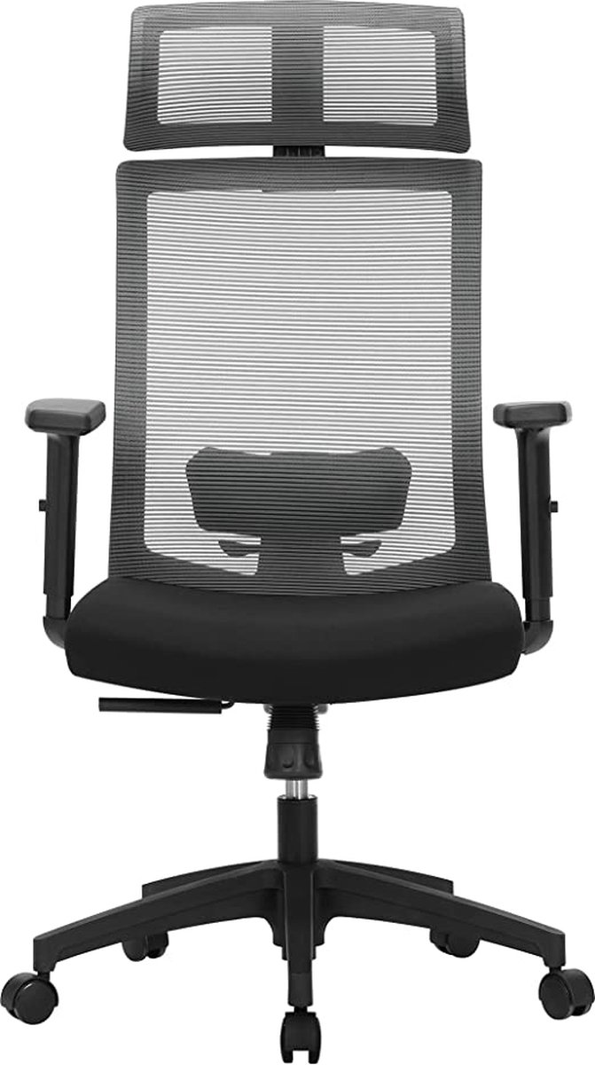 Bureaustoel - Bureaustoel met netbespanning - verstelbare lendensteun, hoofdsteun en armleuningen