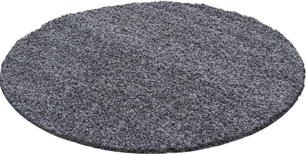 Dream Shaggy vloerkleed hoogpolig rond Ø 80cm grijs