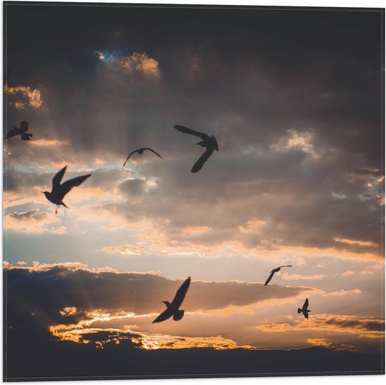 WallClassics - Vlag - Vogels in de Lucht bij Zonsondergang - 50x50 cm Foto op Polyester Vlag