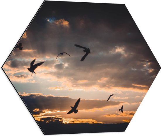 WallClassics - Dibond Hexagon - Vogels in de Lucht bij Zonsondergang - 60x52.2 cm Foto op Hexagon (Met Ophangsysteem)