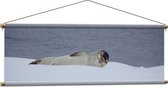 WallClassics - Textielposter - Zeehond Liggend in de Sneeuw - 120x40 cm Foto op Textiel