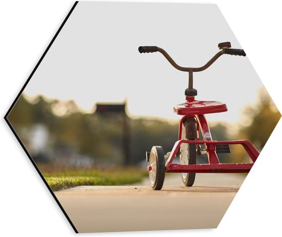 WallClassics - Dibond Hexagone - Tricycle Rouge sur Sentier - 30x26,1 cm Photo sur Hexagone (Avec Système d'accrochage)