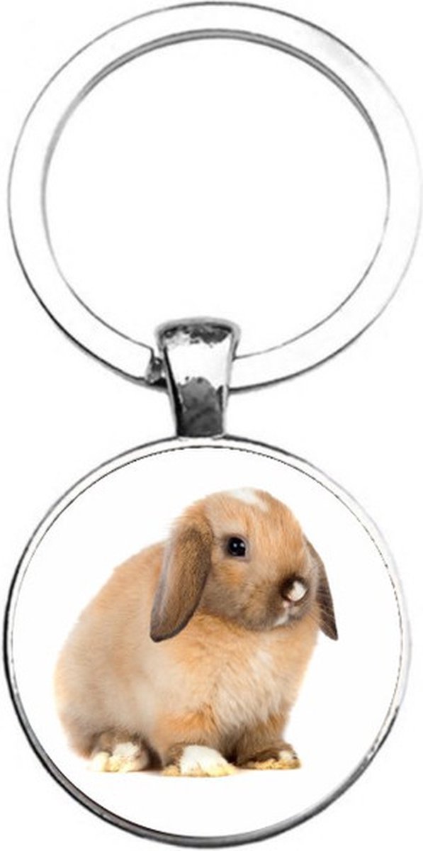 Sleutelhanger Glas - Konijn