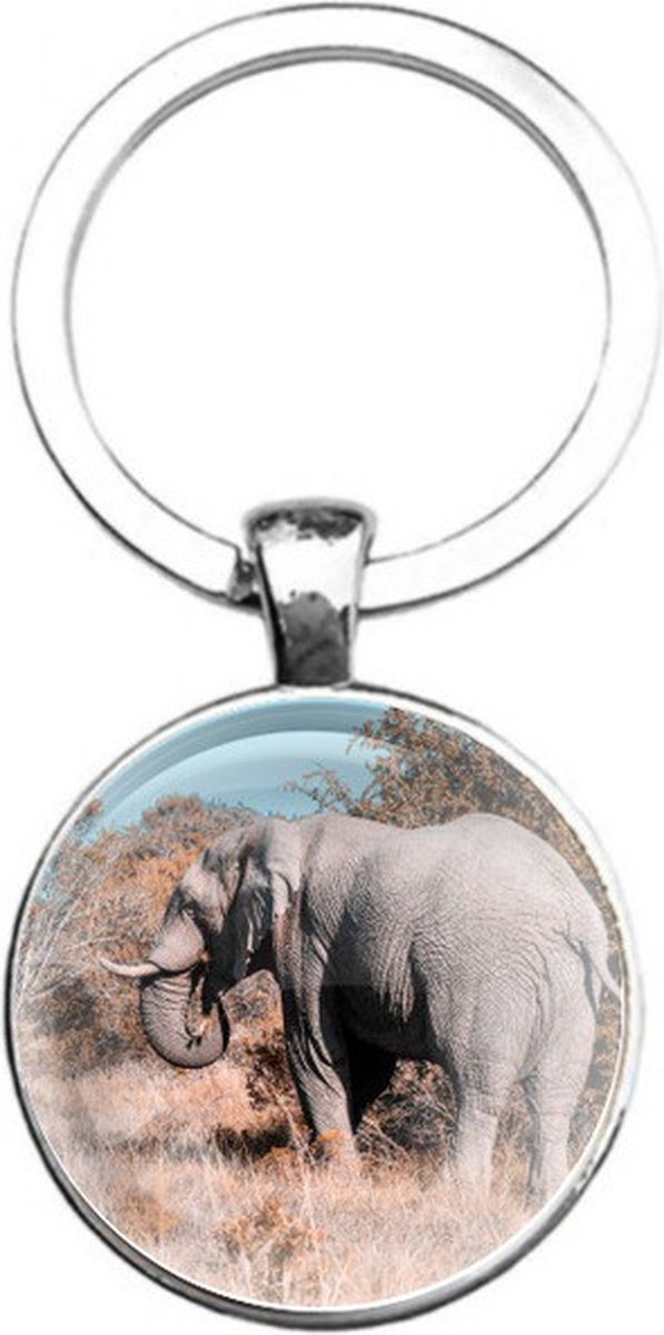 Sleutelhanger Glas - Olifant