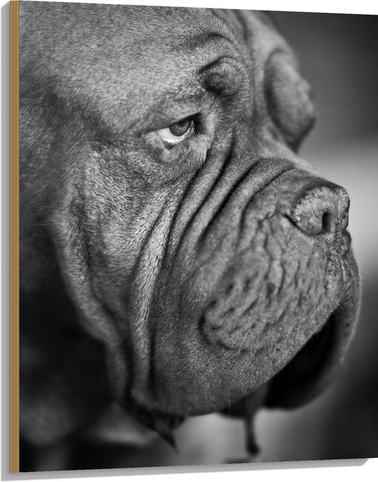 WallClassics - Hout - Bordeaux hond Zwart / Wit - 75x100 cm - 12 mm dik - Foto op Hout (Met Ophangsysteem)