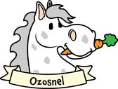 Herbruikbare raamsticker Ozosnel - 40 x 40 cm