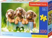 Castorland Cute Dachshunds - 100pcs