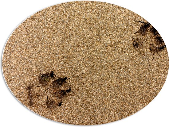 WallClassics - PVC Schuimplaat Ovaal - Sporen van een Hond in het Zand - 80x60 cm Foto op Ovaal  (Met Ophangsysteem)
