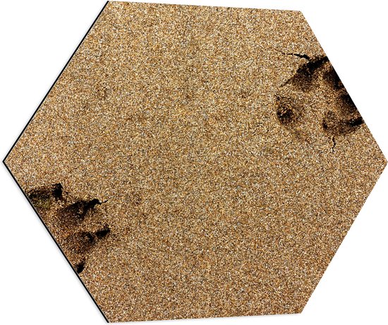 WallClassics - Dibond Hexagon - Sporen van een Hond in het Zand - 80x69.6 cm Foto op Hexagon (Met Ophangsysteem)