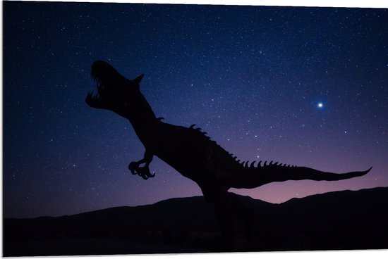 WallClassics - Dibond - Silhouette van een Dinosaurus in de Nacht - 90x60 cm Foto op Aluminium (Met Ophangsysteem)