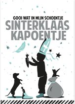 liste de souhaits Sinterklaas Boy modèle de carte postale sur papier solide