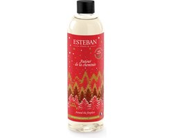 Foto: Esteban kerst around the fireplace navulling geurstokjes 250ml