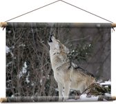WallClassics - Textielposter - Huilende Wolf in de Sneeuw - 60x40 cm Foto op Textiel