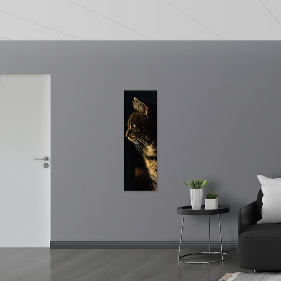 WallClassics - Poster (Matte) - Chat dans la nuit - 40x120 cm Photo sur Papier Poster d'aspect Mat