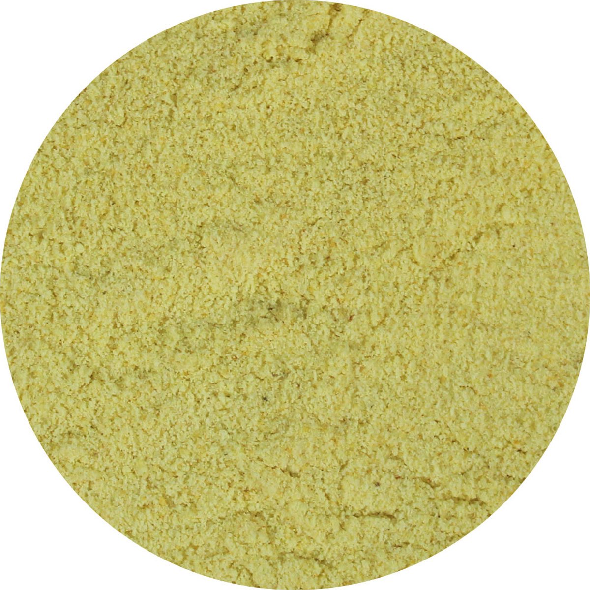 Goedkoopste Van Beekum Specerijen - Garlic Seasoning - 20 KG - Zak (bulk verpakking
