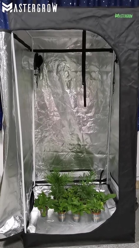 Weedness Dark Box Grow-Box für Indoor-Zucht 80x80x200 cm - Zuchtzelt Growschrank Growzelt Zuchtbox Gewächszelt Homebox lichtdicht