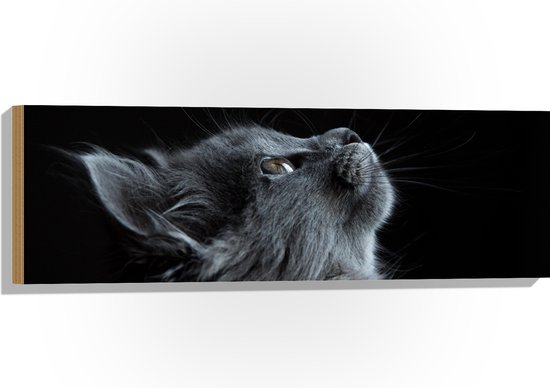 WallClassics - Hout - Grijze Poes Starend naar Boven - 90x30 cm - 12 mm dik - Foto op Hout (Met Ophangsysteem)