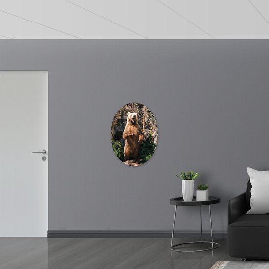 WallClassics - Dibond Ovale - Ours brun debout dans la forêt - Photo 60x80 cm sur ovale (avec système de suspension)