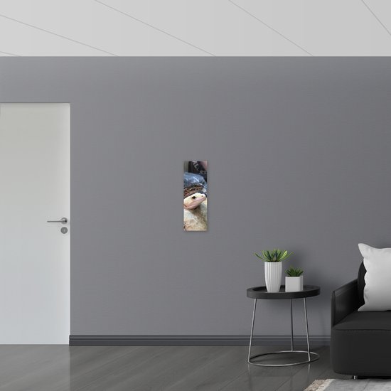 WallClassics - Dibond - Geckos à têtes de pierre - Photo sur aluminium 20x60 cm (Décoration murale en métal)