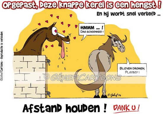 humoristische bordjes paard - Afstand houden