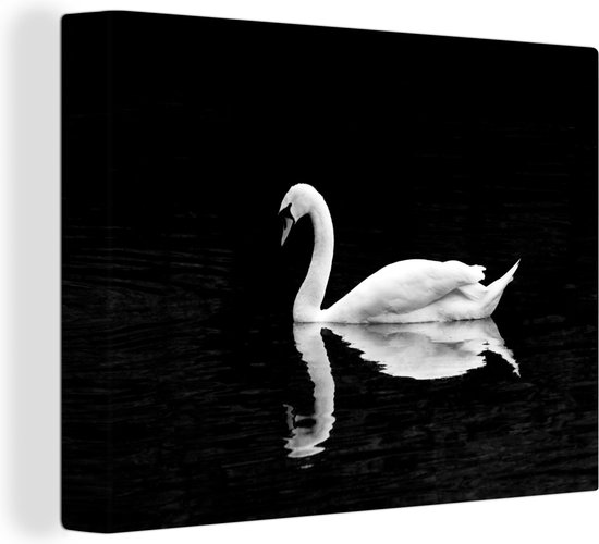 Tableau Peinture sur toile Cygne flottant sur fond noir - noir et blanc -  80x60 cm -... | bol