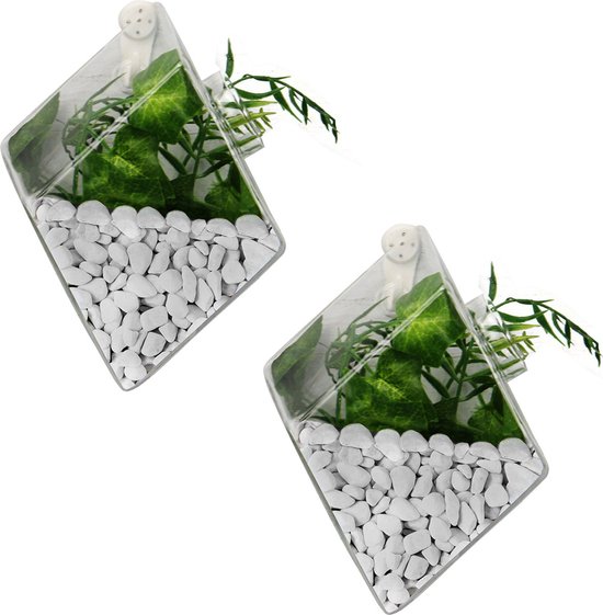 Hangende Diamanten Terrarium