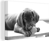 Canvas Schilderij Labrador Retriever puppy - zwart wit - 60x40 cm - Wanddecoratie